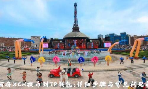 
如何将XCH提币到TP钱包：详细步骤与常见问题解析